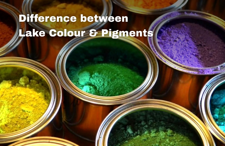 Difference between Lake Colour & Pigments